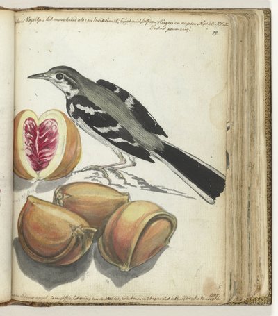 Ballerina con frutta da Jan Brandes