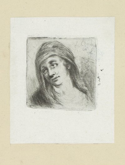 Giovane donna con fazzoletto da Jan Chalon
