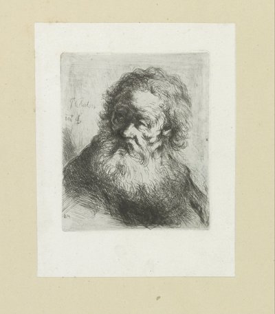 Vecchio con barba da Jan Chalon