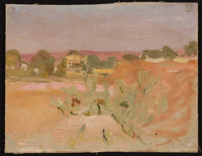 Rosa Landschaft mit Kakteen. Aus einer Reise nach Indien da Jan Ciągliński