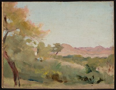 Udaipur - paesaggio indiano. Da un viaggio in India da Jan Ciągliński