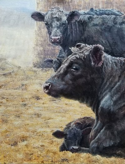 La famiglia Black Cattle da Jan Clizer
