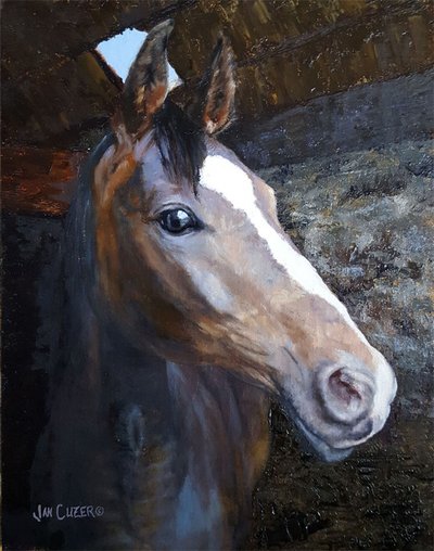 Cavallo nella luce della stalla da Jan Clizer