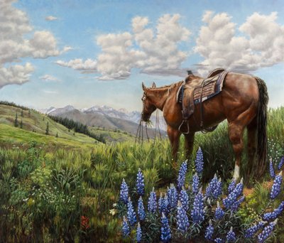 Cavallo in un pascolo di montagna da Jan Clizer