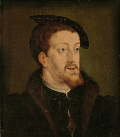 Ritratto di Carlo V, imperatore del Sacro Romano Impero da Jan Cornelisz Vermeyen (manner of)