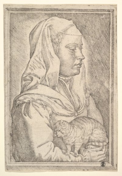 Ragazza con un gatto, 1546 da Jan Cornelisz Vermeyen