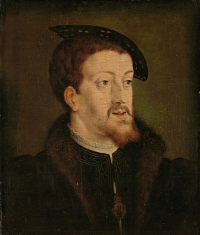 Ritratto di Carlo V, Sacro Romano Imperatore, c. 1530 da Jan Cornelisz Vermeyen