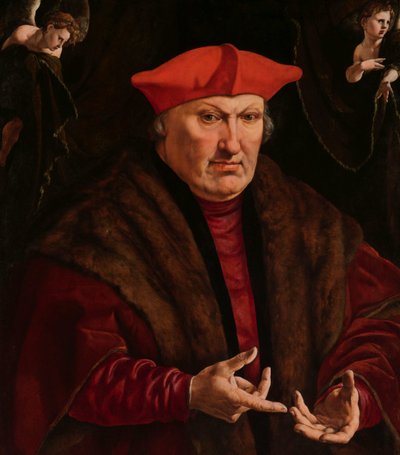 Ritratto di Erard de la Marck da Jan Cornelisz Vermeyen