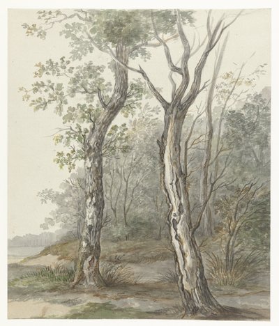 Paesaggio boschivo da Jan Dasveldt