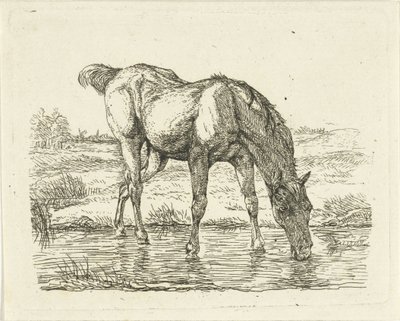Cavallo che beve da Jan Dasveldt