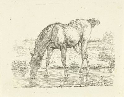 Cavallo che beve da Jan Dasveldt