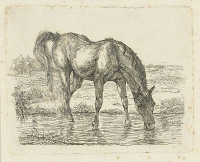 Cavallo che beve da Jan Dasveldt
