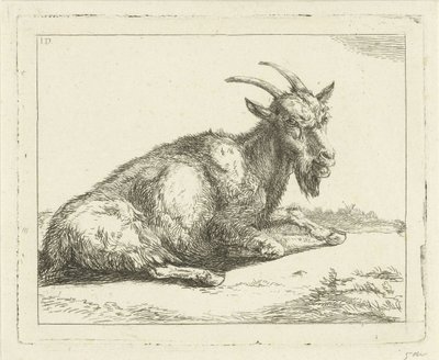 Capra da Jan Dasveldt