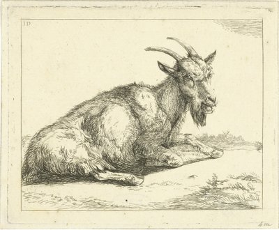 Capra da Jan Dasveldt