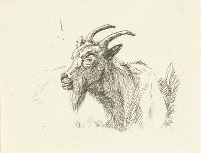 Capra sdraiata da Jan Dasveldt