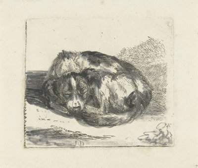 Cane che dorme da Jan Dasveldt