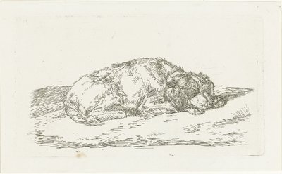 Cane che dorme con la testa appoggiata sulle zampe anteriori da Jan Dasveldt