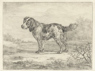 Spaniel in piedi in un paesaggio da Jan Dasveldt