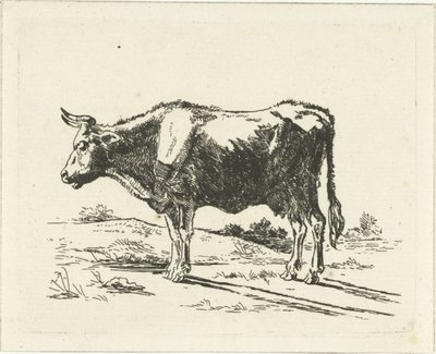 Mucca in piedi da Jan Dasveldt
