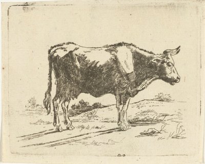 Mucca in piedi da Jan Dasveldt