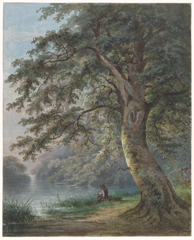 Pescatore sotto un grande albero vicino a uno stagno da Jan David Geerling Grootveld