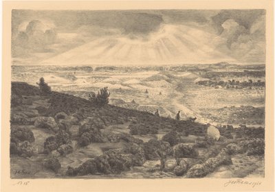 Brughiera a Laren da Jan Fekkes (signed by artist)