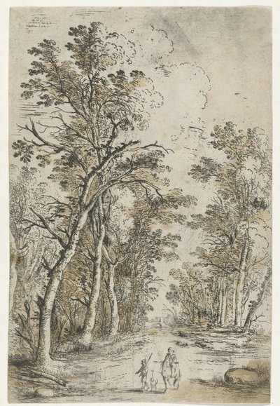 Sentiero nel bosco da Jan Fouceel