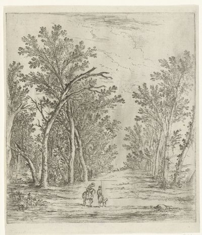 Sentiero nel bosco da Jan Fouceel