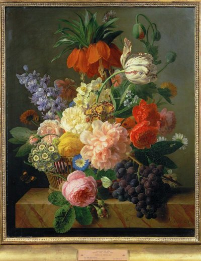 Fiori e frutta... (pittura su tela) da Jan Frans van Dael