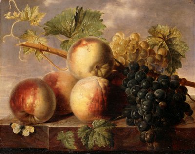 Pesche e Uva con una Farfalla Cavolaia su un Ripiano di Marmo da Jan Frans van Dael