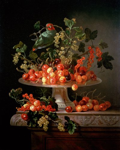 Natura morta di ciliegie e ribes con un pappagallo da Jan Frans van Son