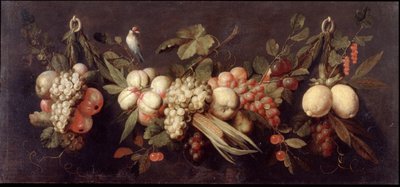 Natura morta con frutta e un uccello da Jan Frans van Son