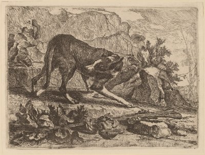 Paesaggio con Levriero e Fucile da Jan Fyt
