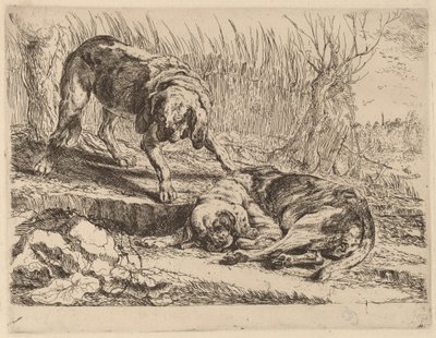 Due beagle, uno dorme da Jan Fyt