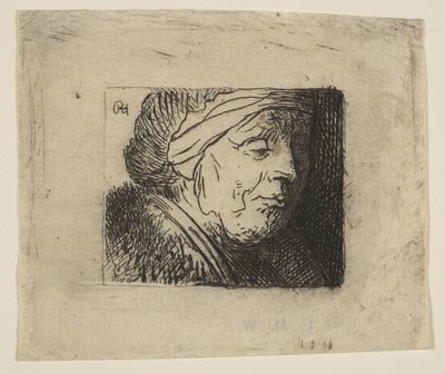 Testa di una vecchia donna da Jan Georg van Vliet