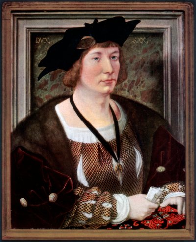 Ritratto di Hendrik III, Conte di Nassau-Breda, c1516-1517, 1927 da Jan Gossaert