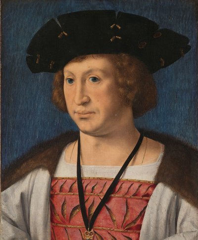 Floris van Egmond (1469-1539), Conte di Buren e Leerdam da Jan Gossart