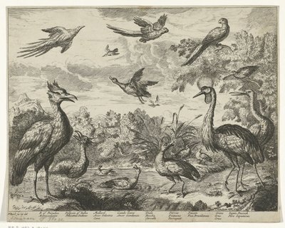 Diversi uccelli in un paesaggio da Jan Griffier (I) (copy after)