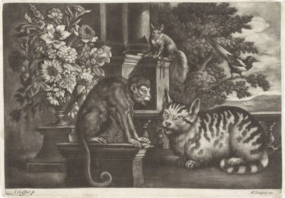 Scimmia, gatto, scoiattolo e gazza da Jan Griffier (I)