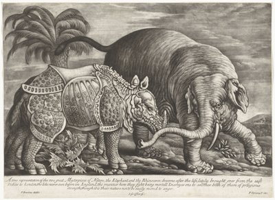 Elefante e rinoceronte da Jan Griffier (I)