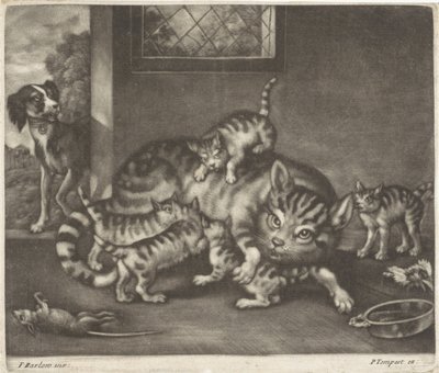 Gatto con cinque cuccioli da Jan Griffier (I)
