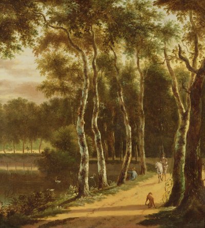 Viale di betulle accanto a un fiume da Jan Hackaert