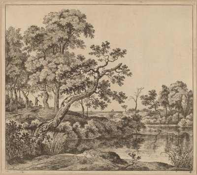 Paesaggio con Albero Piegato da Jan Hackaert