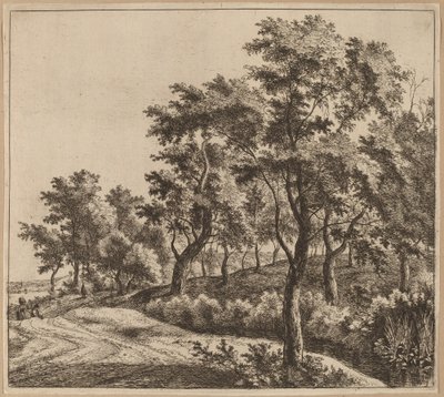 Paesaggio con un ruscello da Jan Hackaert