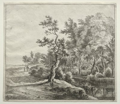 La strada della Serpentina da Jan Hackaert