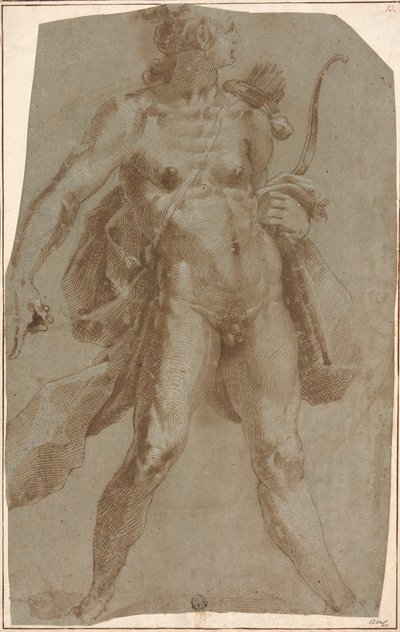 Apollo da Jan Harmensz. Muller
