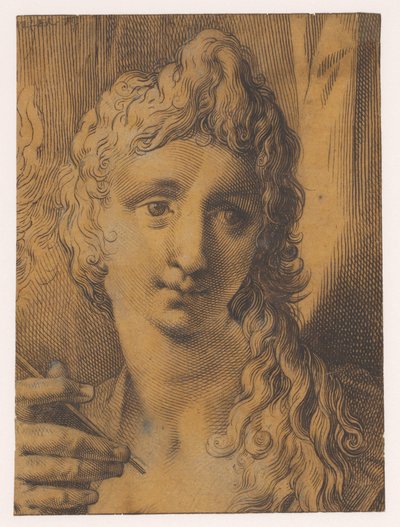 Testa di giovane o giovane donna che tiene un bulino (?) in mano da Jan Harmensz. Muller