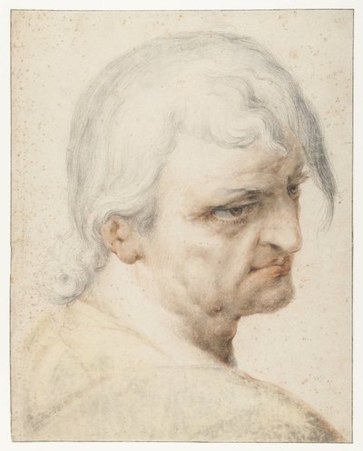 Testa di un uomo che guarda oltre la spalla destra, tre quarti a destra da Jan Harmensz. Muller