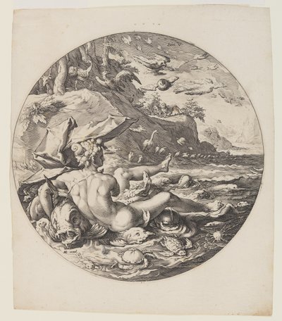 Il quinto giorno, tavola 6, dalla Creazione del mondo da Jan Harmensz. Muller