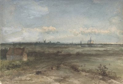 Veduta di Haarlem dalle dune da Jan Hendrik Weissenbruch
